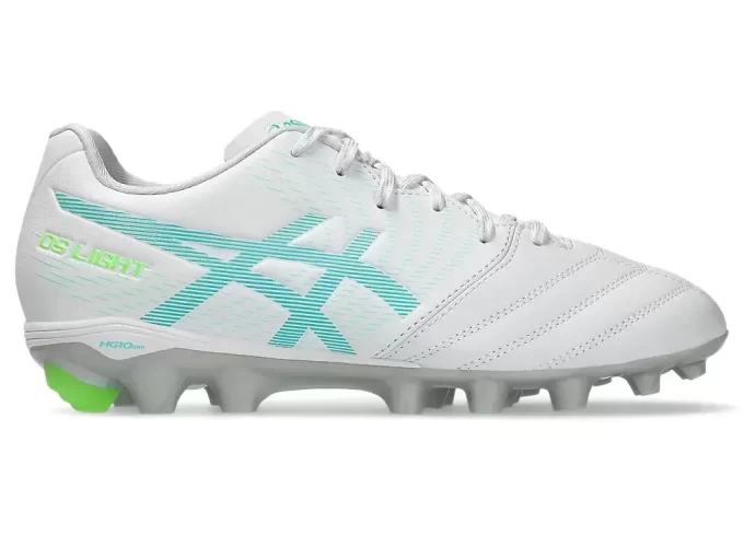 DS LIGHT JR GRADE SCHOOL