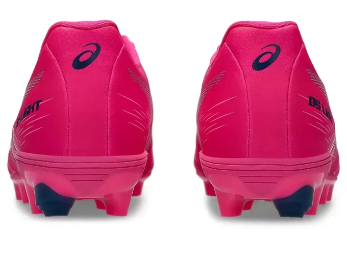 DS LIGHT JR GRADE SCHOOL