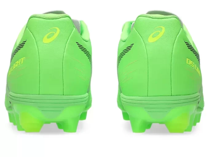 DS LIGHT JR GRADE SCHOOL