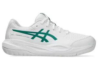 GEL-RESOLUTION X GRADE SCHOOL GEL-RESOLUTION X GRADE SCHOOL