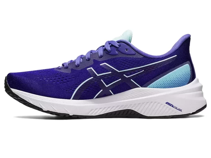 GT-1000 12 WIDE ROAD TESTED