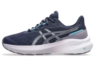 GT-1000 13 GRADE SCHOOL