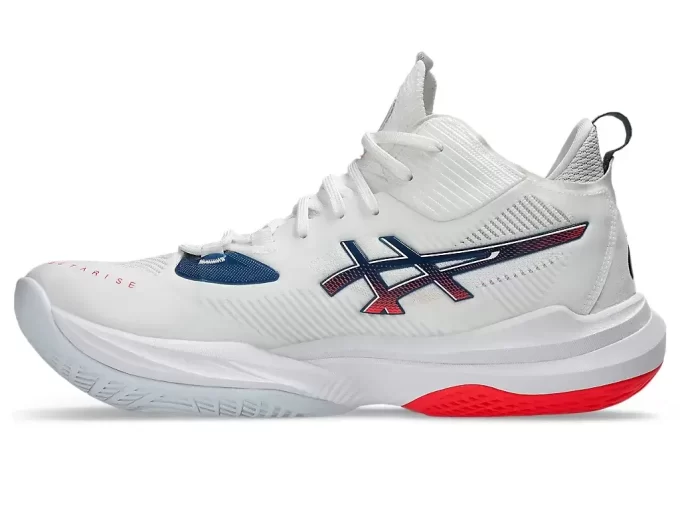 METARISE 2 METARISE 2